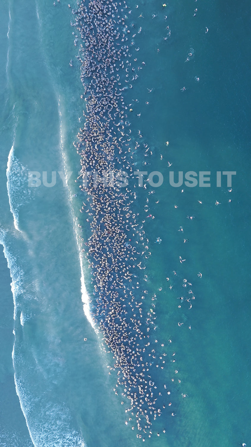 Digitalt bilde til print: Foto fra The Biggest Polar Dip - Verdensrekord